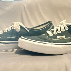 Vans Authentic Canvas Theory Scarab